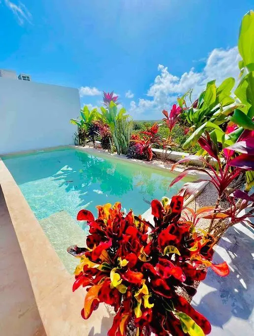 Appartamento Lush Tulum Rooftop Condo With Ensuite Pool & Wifi